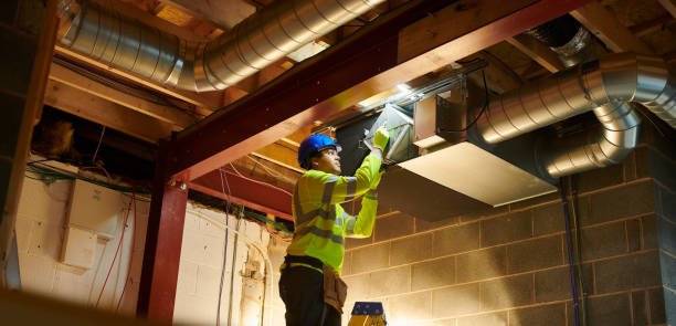Best Air Duct Mold Removal  in Taylor Lake Village, TX