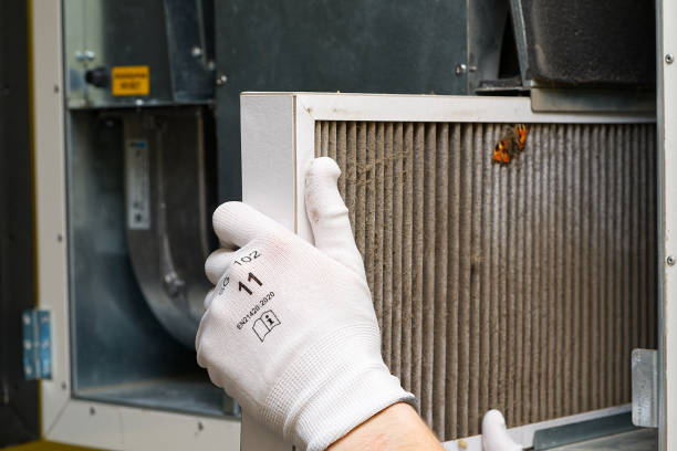 Best Home Air Vent Cleaning  in Taylor Lake Village, TX